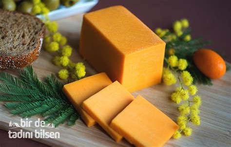 Cheddar peyniri zararlı mı